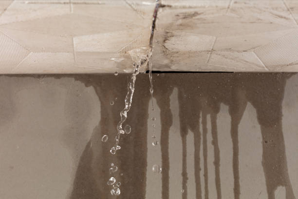 Professional Sewage Cleanup technician working in Grandview, OH